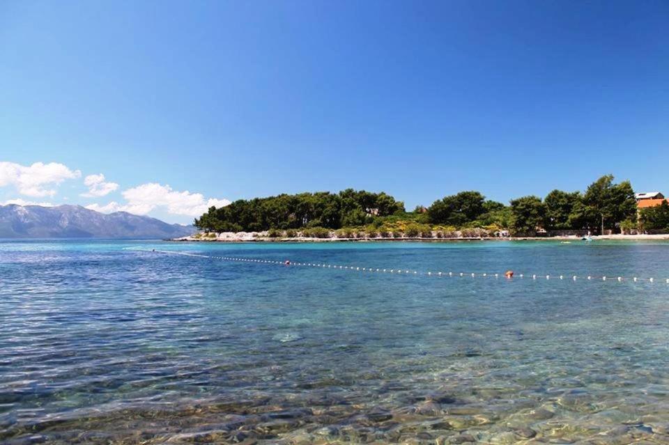 Apartman Bartul *